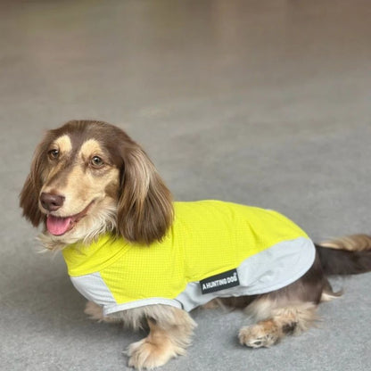 Dachshund Cooling Sleeveless Shirt