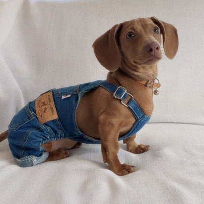 Dachshund Jeans Latzhose