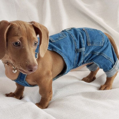 Dachshund Jeans Latzhose