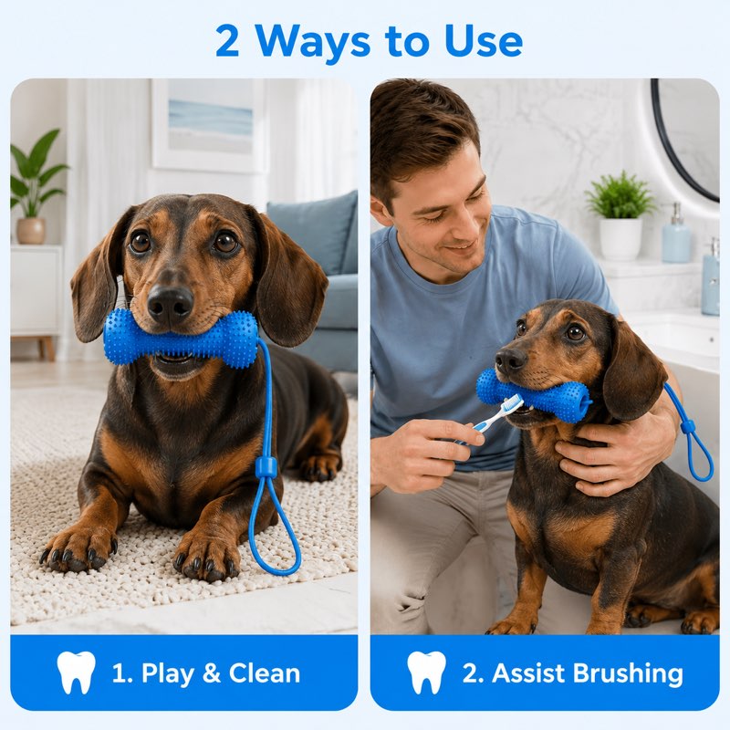 Two ways to use the dental chew stick, free chewing and assisted brushing