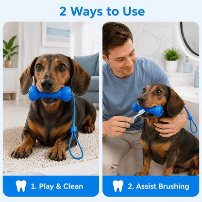 Two ways to use the dental chew stick, free chewing and assisted brushing