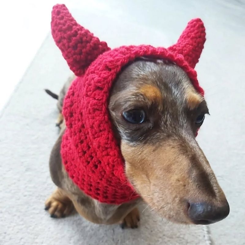 Dachshund Devil Snood Hat