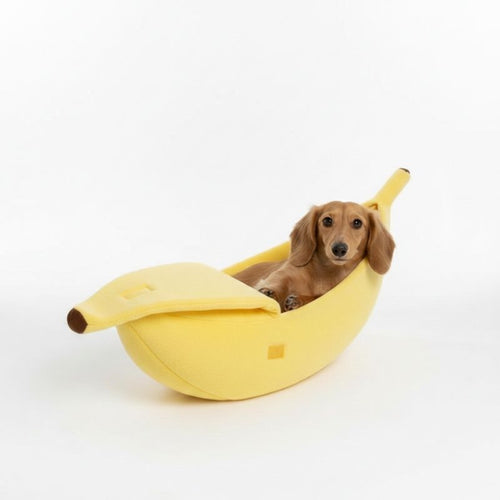 Dackel Bananen Bett