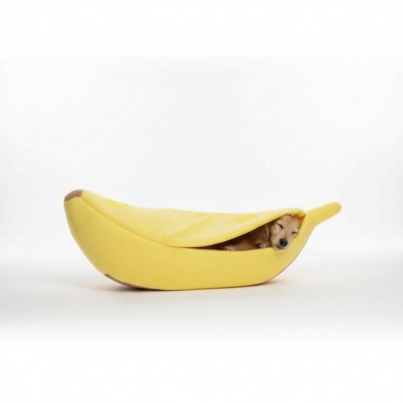 Dackel Bananen Bett