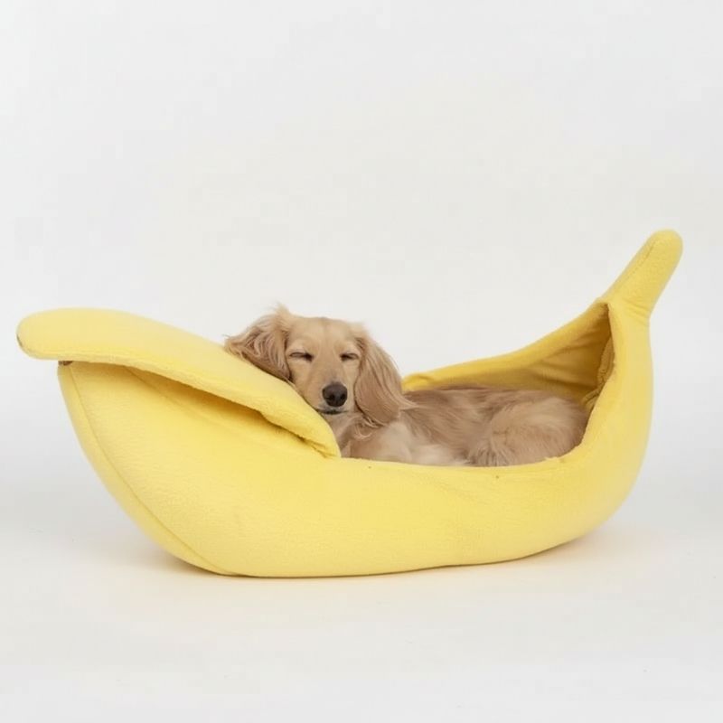 Dackel Bananen Bett