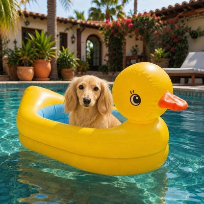 Dachshund Duck Float with dachshund in pool