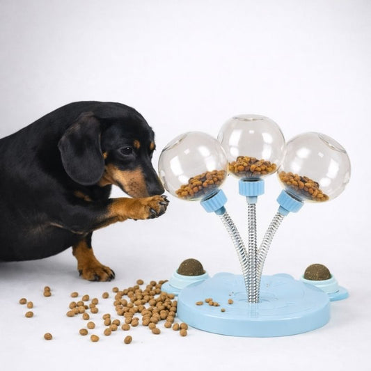 Dachshund Feeding Stick