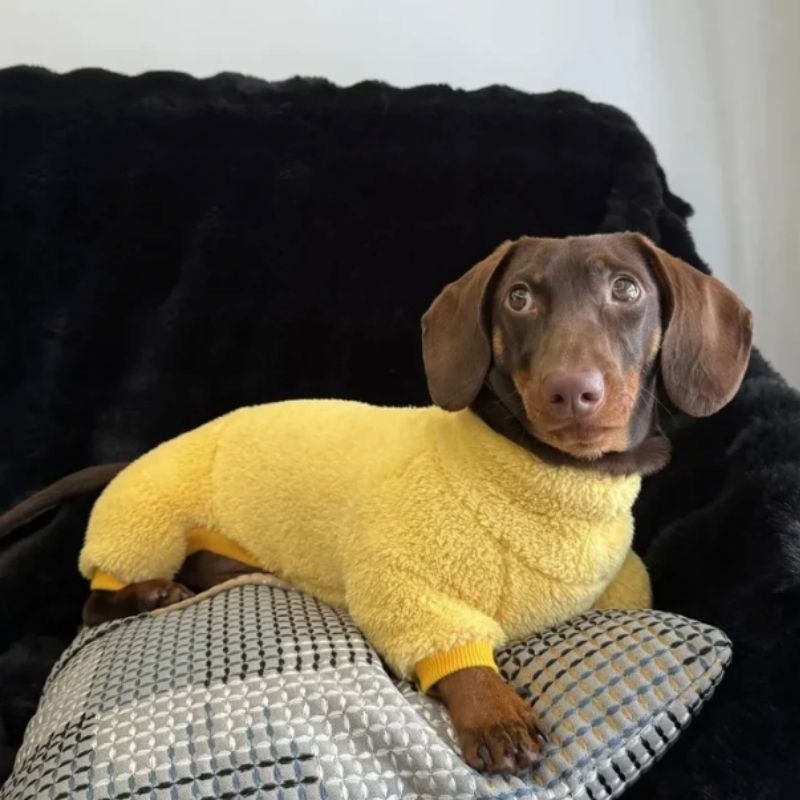 Dackel Fleece Strampler