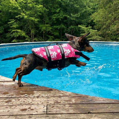 Dachshund Flower Life Jacket