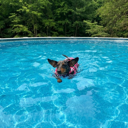 Dachshund Flower Life Jacket