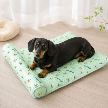 Dachshund Fruity Ice Pad