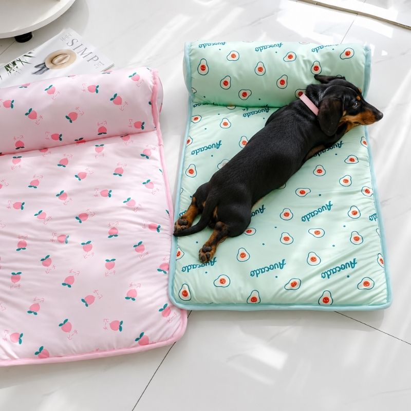 Dachshund Fruity Ice Pad