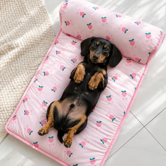 Dachshund Fruity Ice Pad