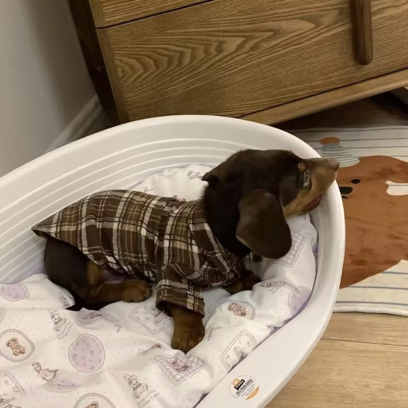 Dachshund Heritage Plaidhemd