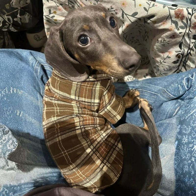 Dachshund Heritage Plaidhemd