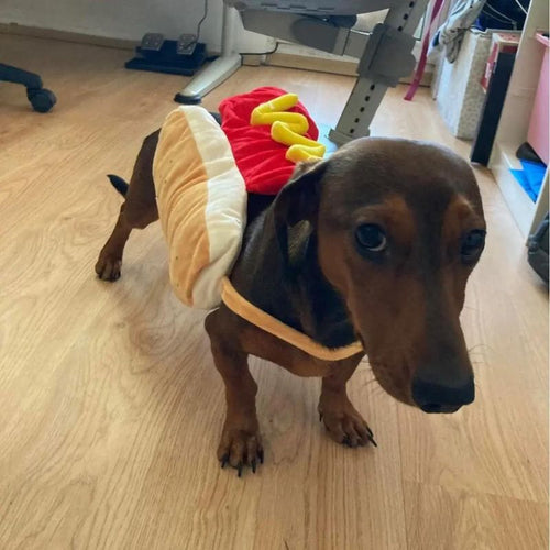 Dachshund Hot Dog Costume