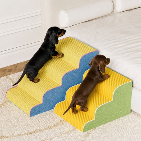 Dachshund Jogging Stairs