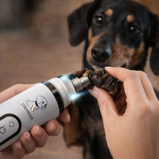 Dachshund LED Nail Grinder