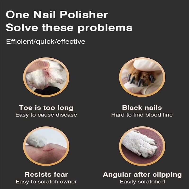 Dachshund LED Nagelschleifer