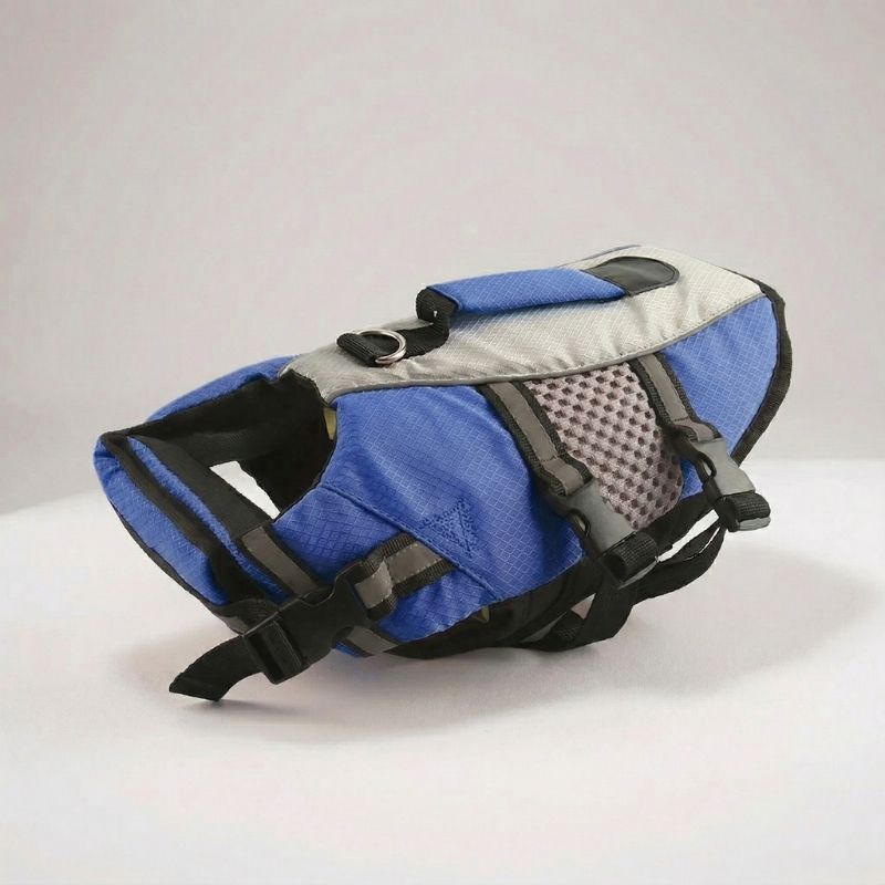 Dachshund Life Jacket