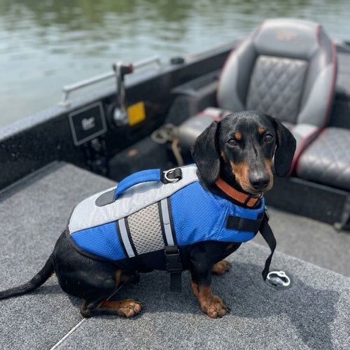 Dachshund Life Jacket