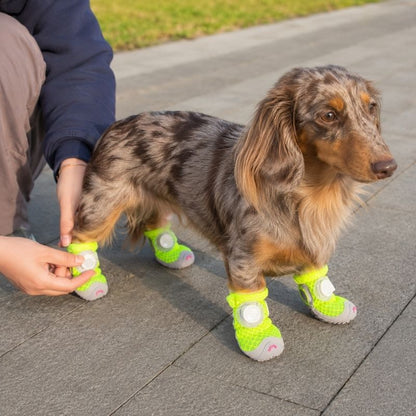Dachshund Mesh Sneakers on dachshund