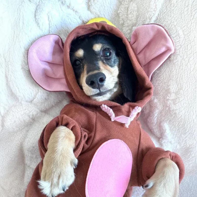 Sudadera Ratón para Perros Salchicha