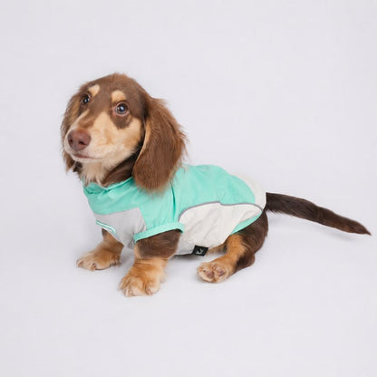 Dachshund Outdoor Reflective Vest