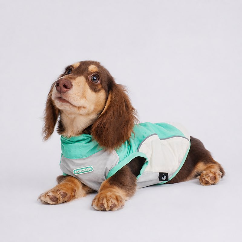 Dachshund Outdoor Reflective Vest