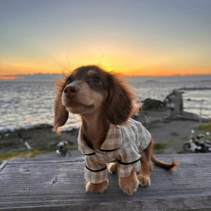 Dachshund Karohemd für Hunde