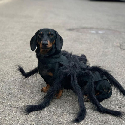 Dachshund Spider Costume