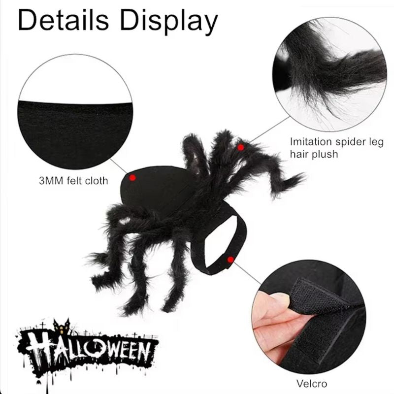 Dachshund Spider Costume