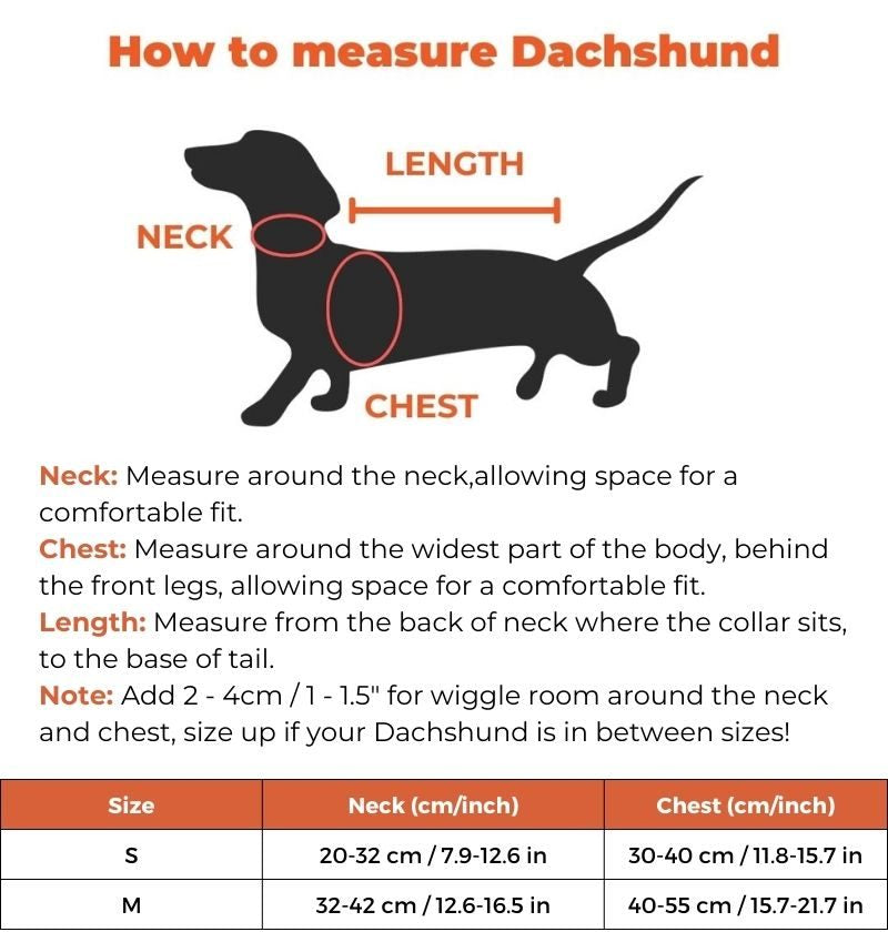 dachshund-spider-costume size guide