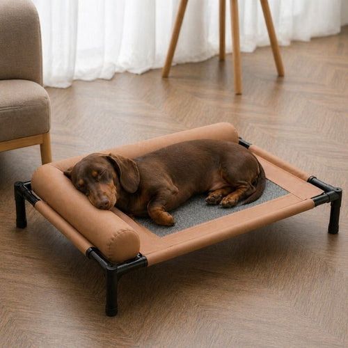 Dachshund Summer Bed With Pillow