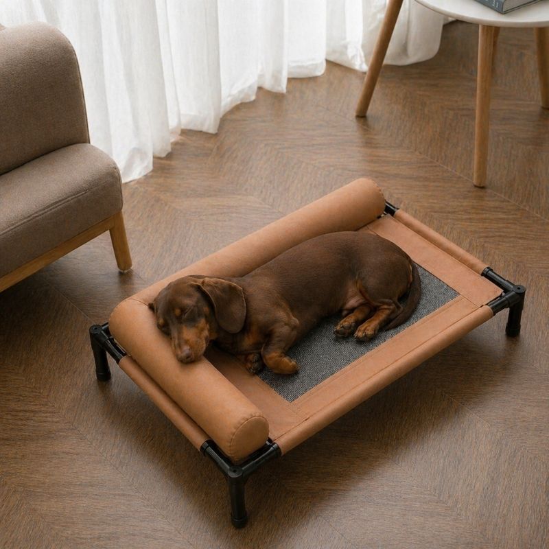 Dachshund Summer Bed With Pillow