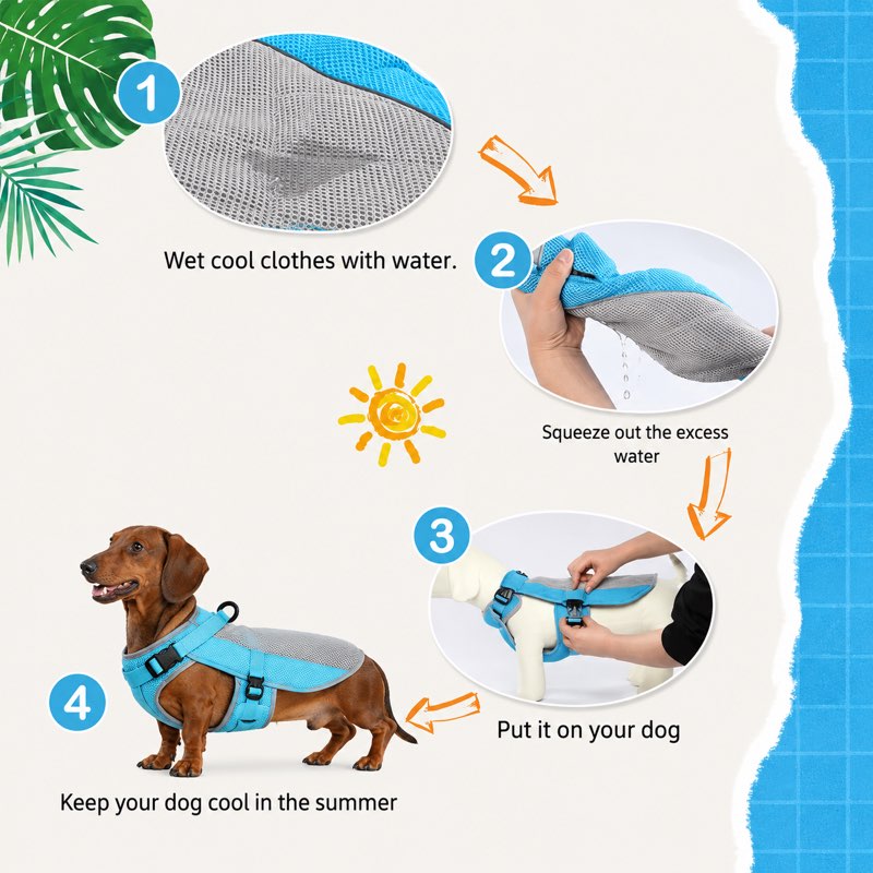 Dachshund Summer Cooling Vest how-to-use infographic