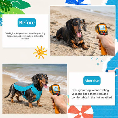 Dachshund Summer Cooling Vest before-and-after cooling comparison
