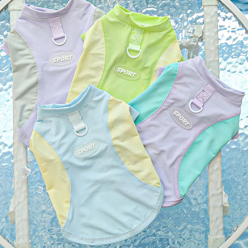 Dachshund Summer Sport Mesh Vest, all four colors