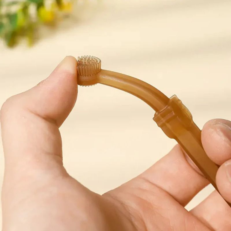 Dachshund Toothbrush