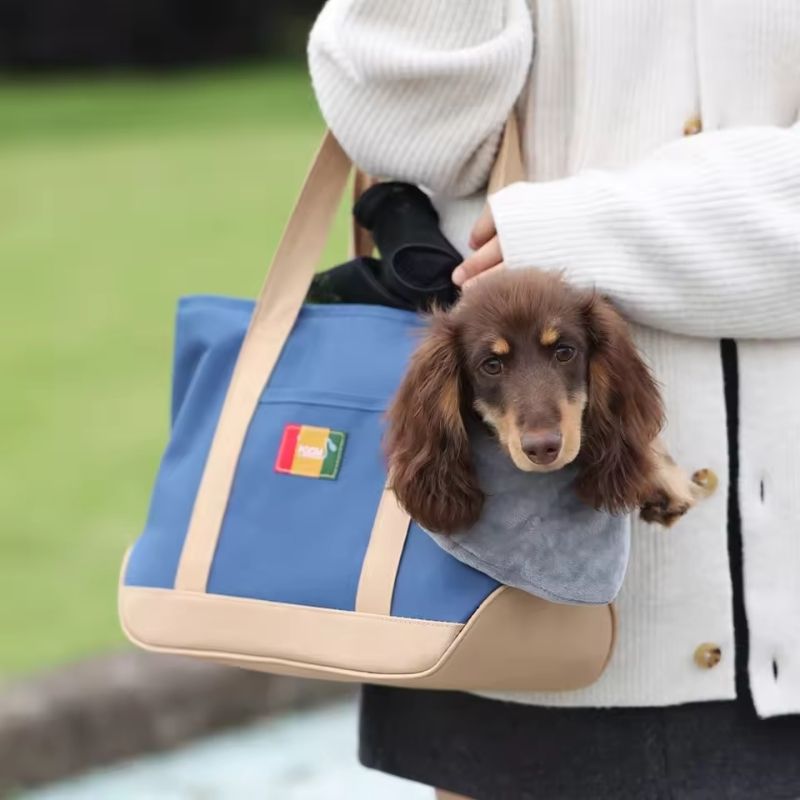 Dachshund Urban Tragetasche