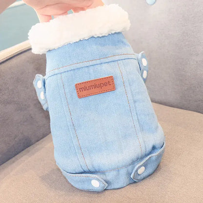 Dackel Jeansjacke mit Fell