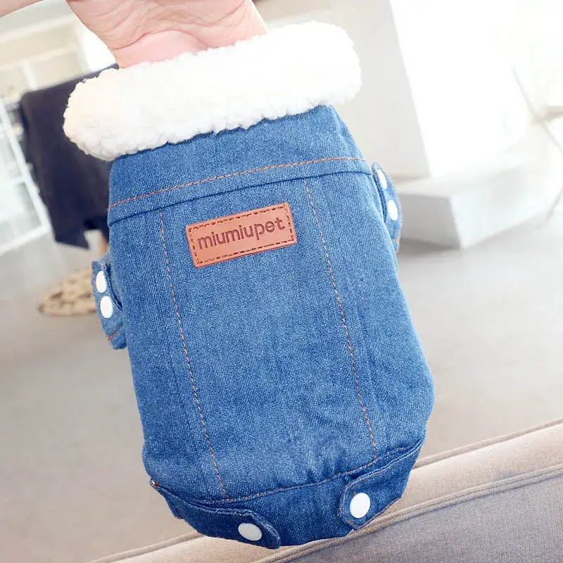 Dackel Jeansjacke mit Fell