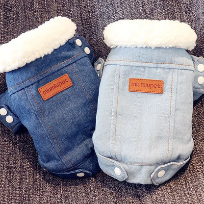 Dackel Jeansjacke mit Fell