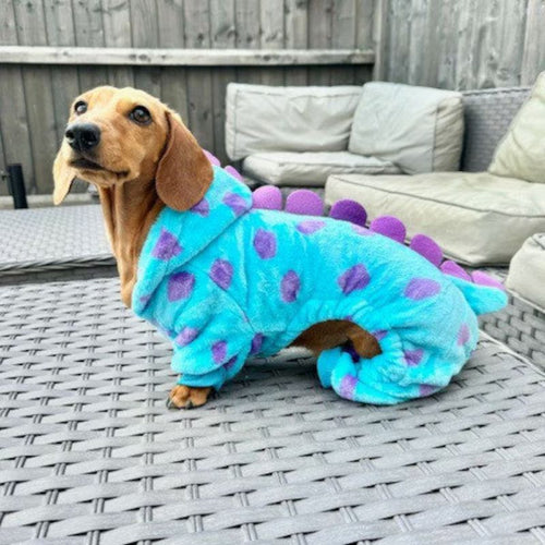 Dino Dachshund Costume