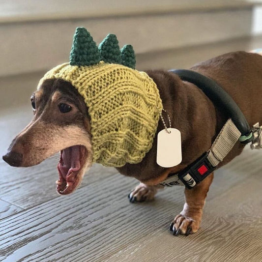 Dino Halloween Wiener Hat