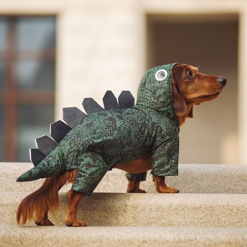 Dinosaur Dachshund Costume