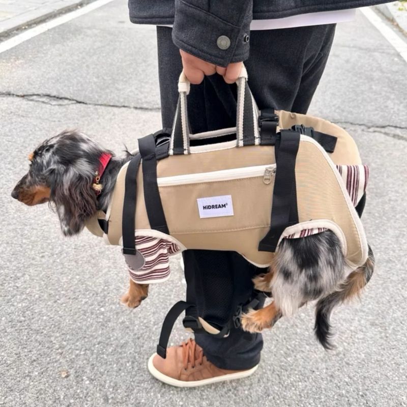 Double Dachshund Shoulder Carrier