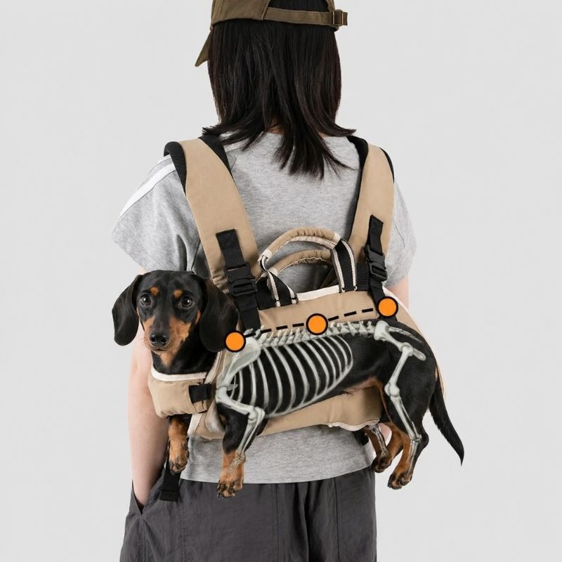 Double Dachshund Shoulder Carrier