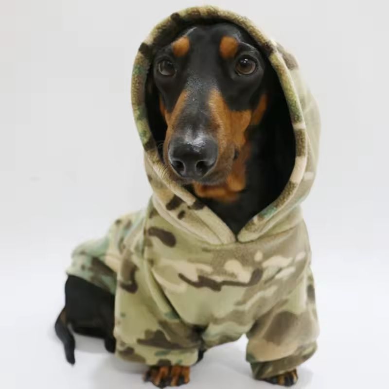 Sudadera Army para Perros Salchicha