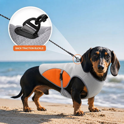 Doxie Chill Cooling Vest hero image